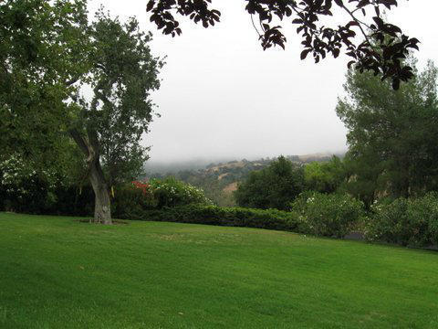 Views Listing photo 11