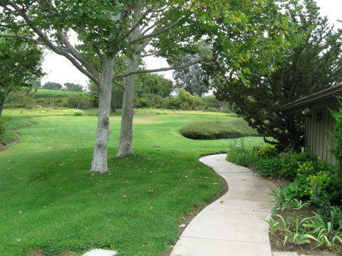 Back yard Listing photo 12